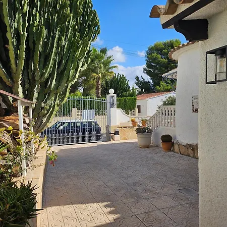 Palmeras Villa Benissa